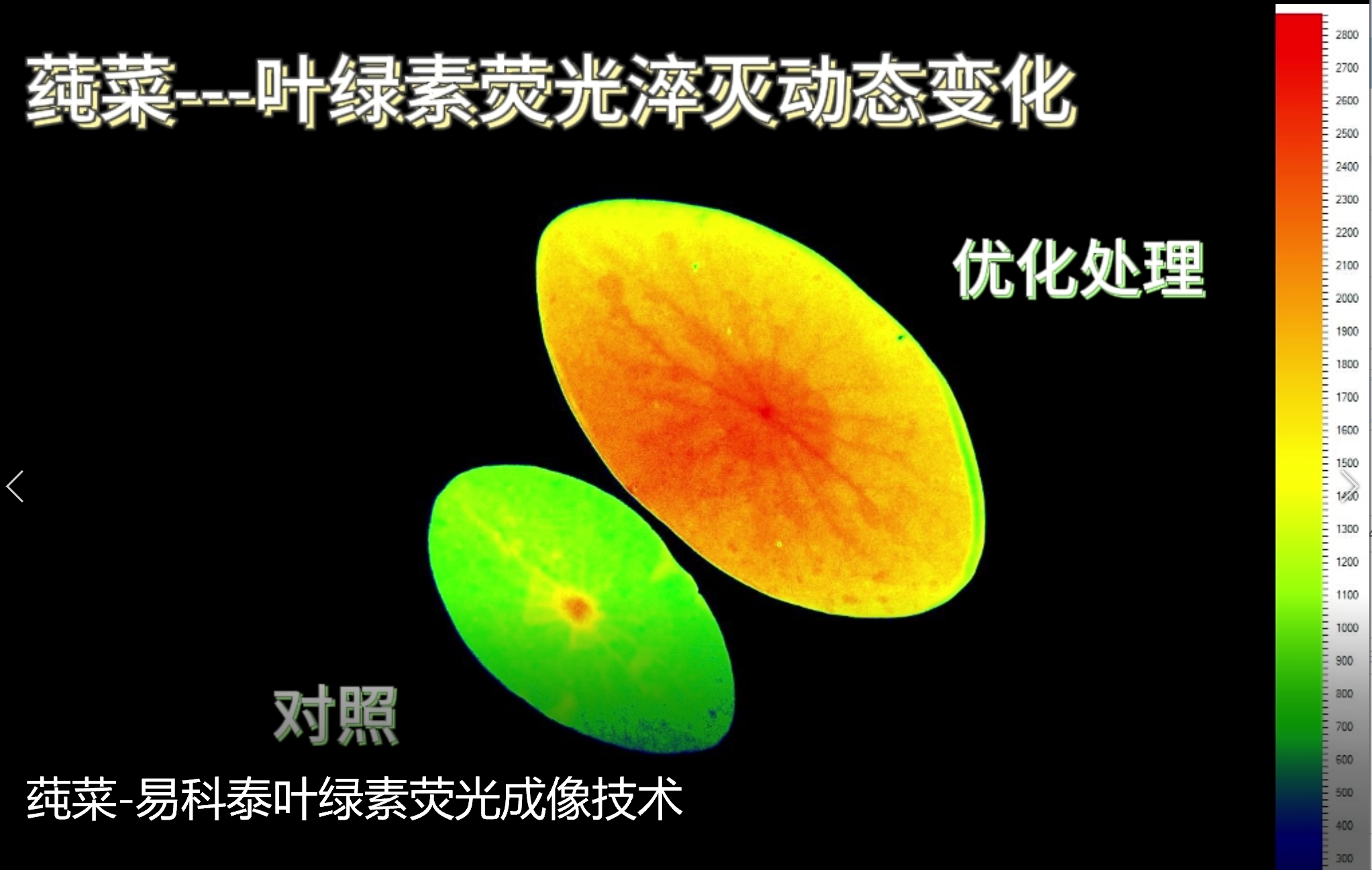 首页- 南宫NG28国际集团官方网站