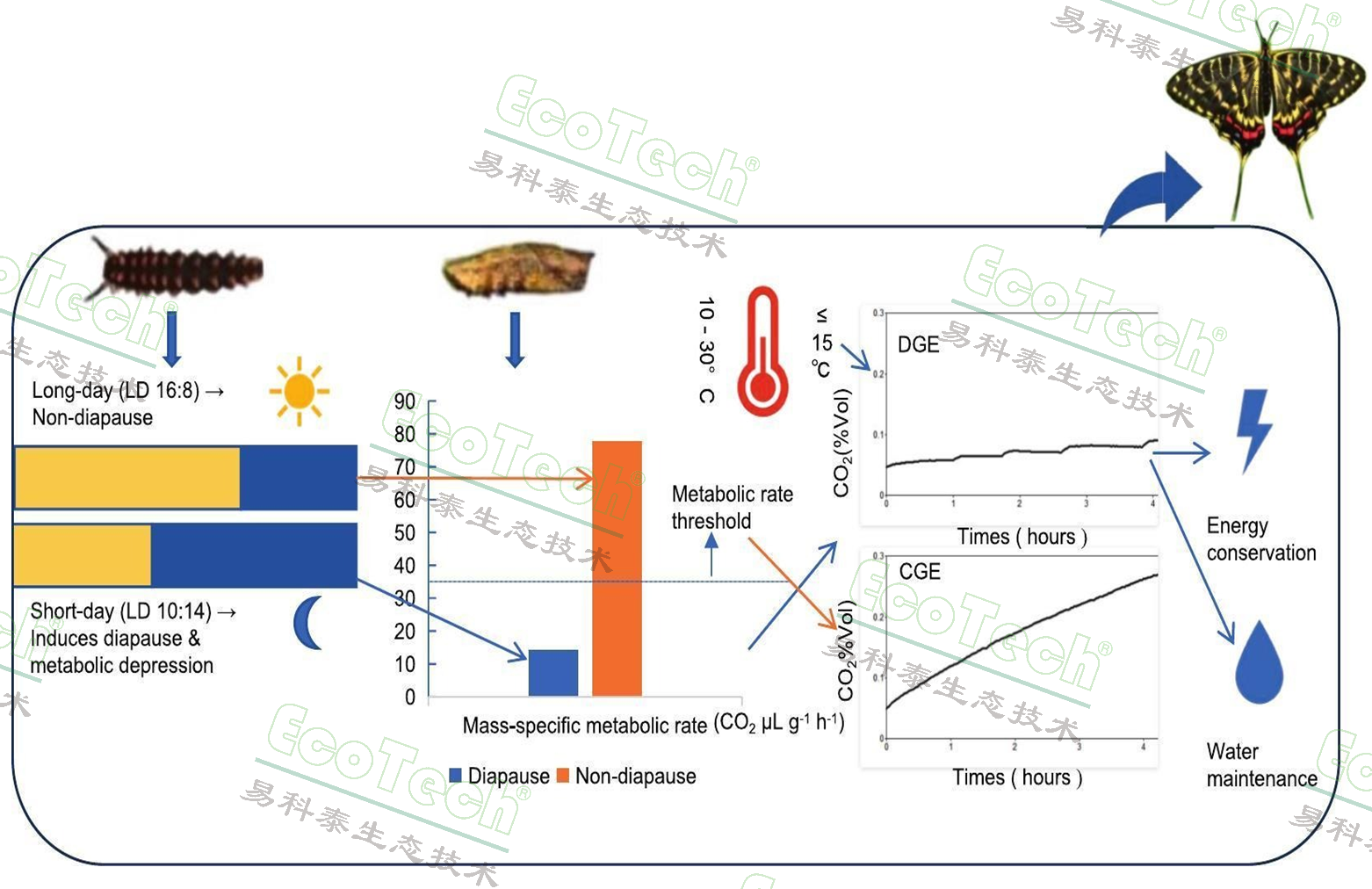 首页- 南宫NG28国际集团官方网站