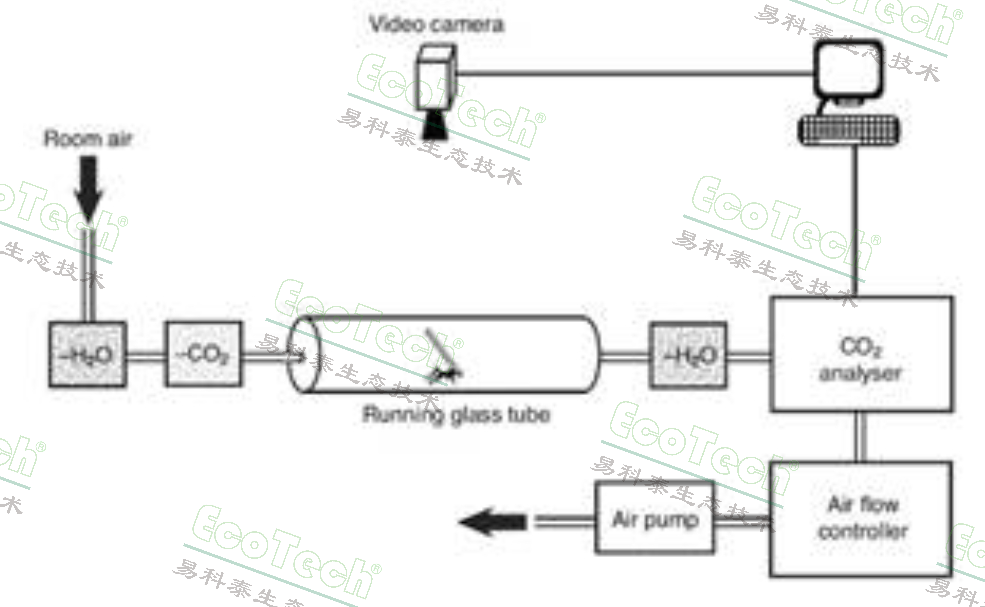 Macintosh HD:Users:cqyu:Desktop:Ecotech-Suppliers:北美:Sablesys.com:Reference:虫豸等无脊椎动物:Ants:ant respirometry.jpg