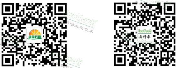 首页- 南宫NG28国际集团官方网站