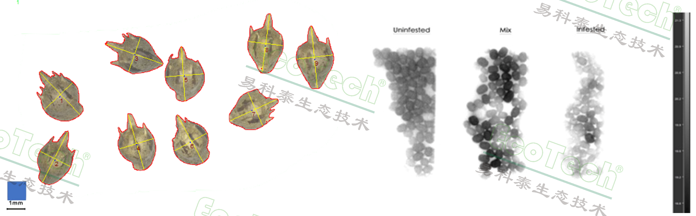 首页- 南宫NG28国际集团官方网站
