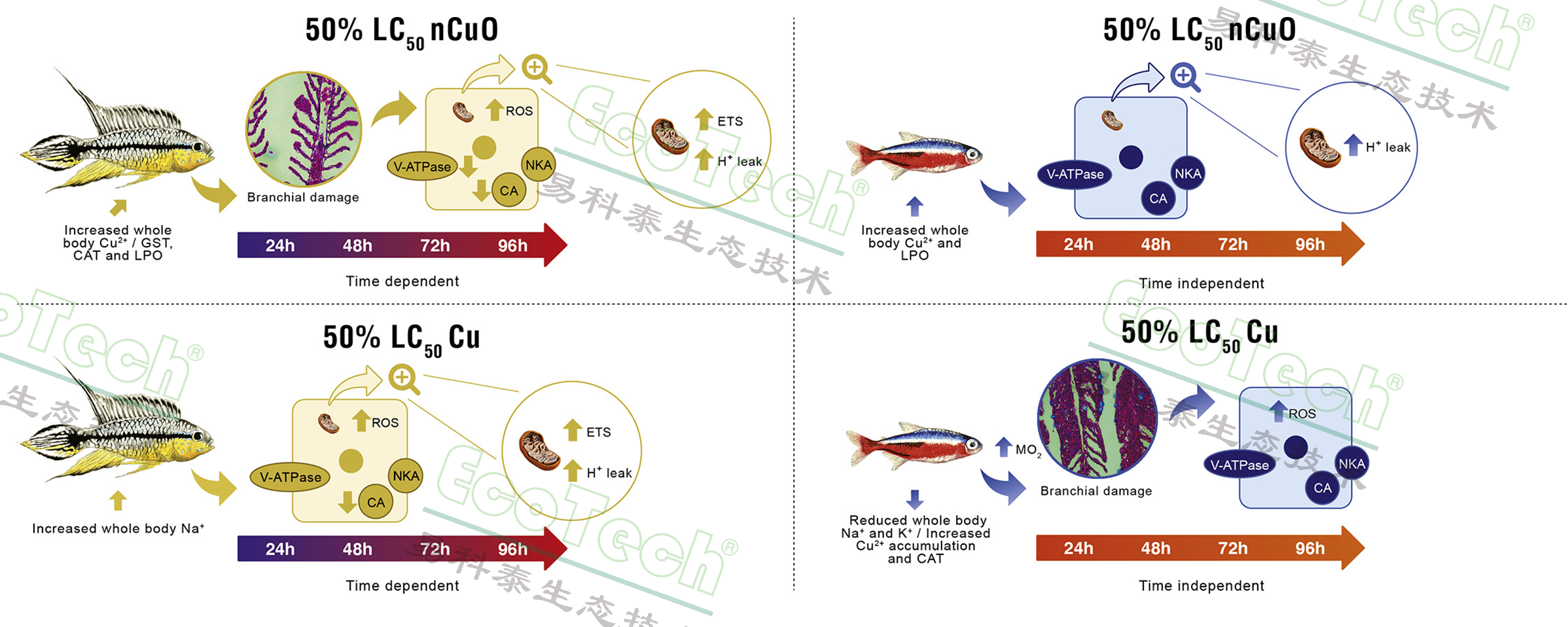 首页- 南宫NG28国际集团官方网站
