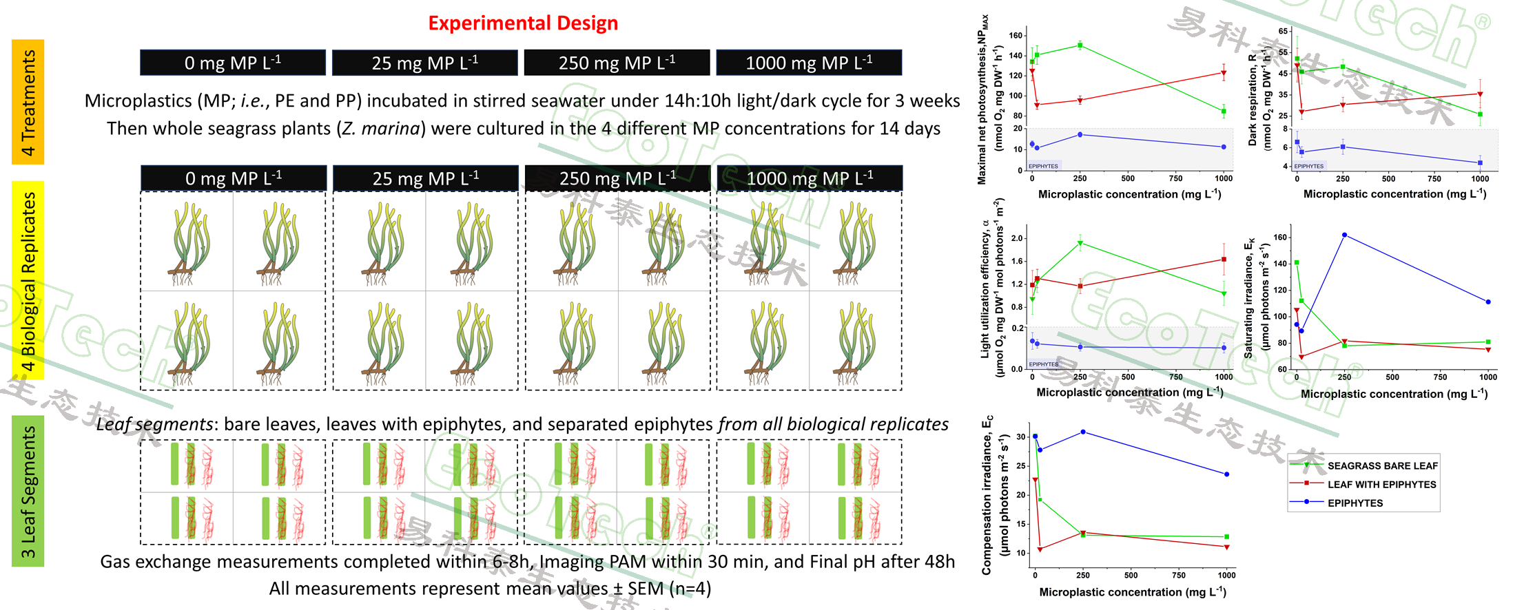首页- 南宫NG28国际集团官方网站