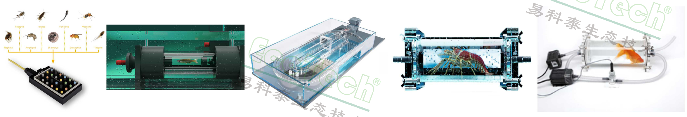 首页- 南宫NG28国际集团官方网站