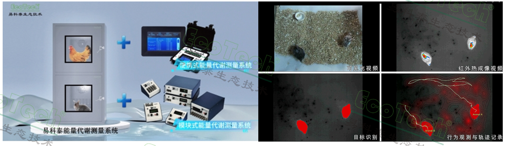 首页- 南宫NG28国际集团官方网站