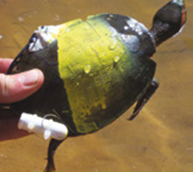 clip_image012.png